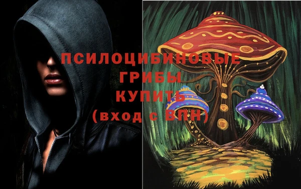 бутират Алзамай